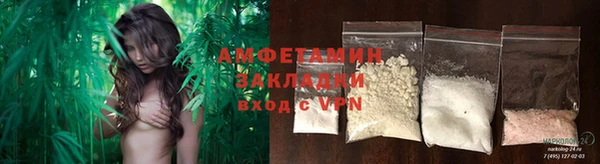 крисы Коряжма