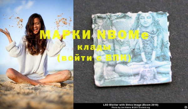 крисы Коряжма