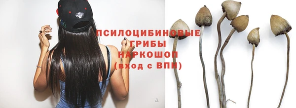 гидра Артём