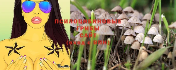 альфа пвп Кулебаки