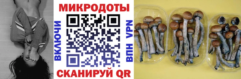 цена   Красный Холм  МЕГА ссылки  Псилоцибиновые грибы мухоморы 